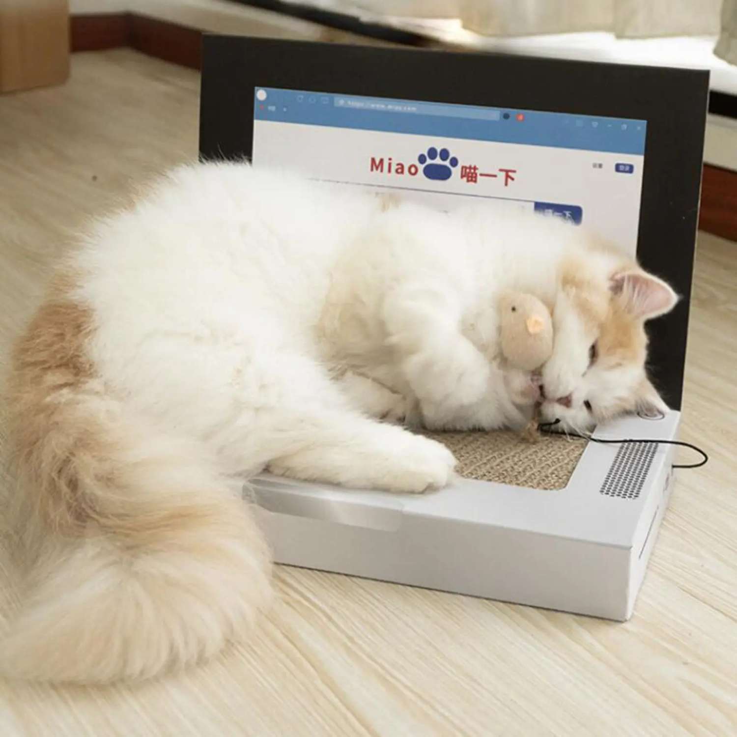 Kat Laptop-Stijl Krabplank van karton